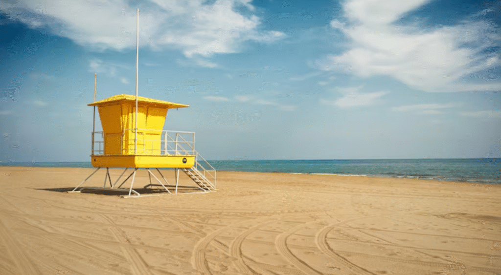 san elijo beach cam.