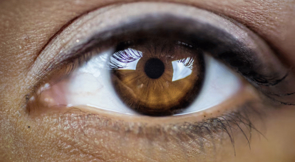 brown eyes synonym