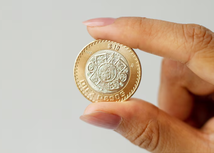 qardun coin