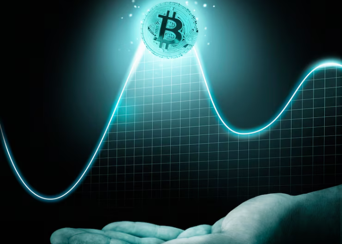 robthecoins investing