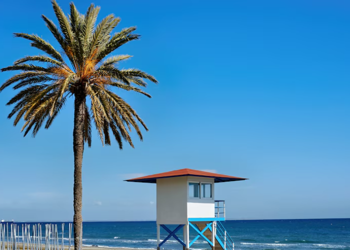 san elijo beach cam