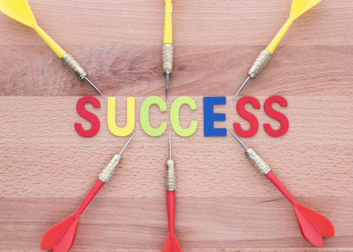 success100x.com goals